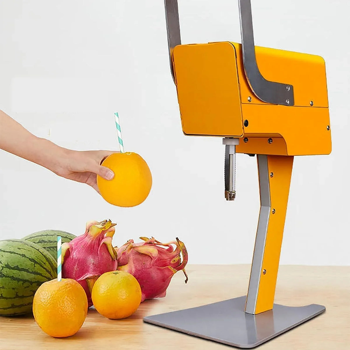 estrattore di succo e spremiagrumi, professionale